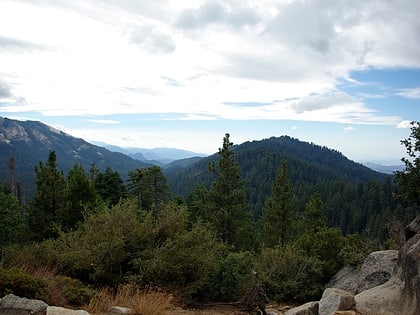 redwood mountain grove sequoia nationalpark und kings canyon nationalpark