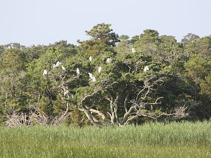 False Cape Natural Area Preserve