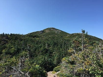 mount marcy high peaks wilderness area