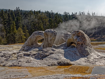 grotto geyser parque nacional de yellowstone