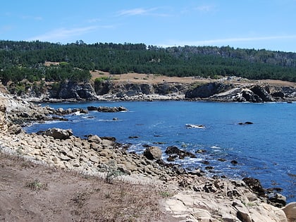 rezerwat morski gerstle cove park stanowy salt point