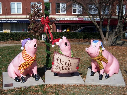 pigs in the city lexington