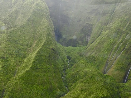 mont waialeale kauai