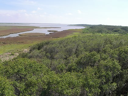 aransas national wildlife refuge