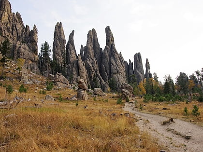 parc detat de custer