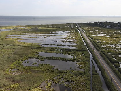 seatuck national wildlife refuge islip