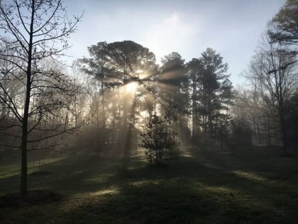 Reynolds Nature Preserve