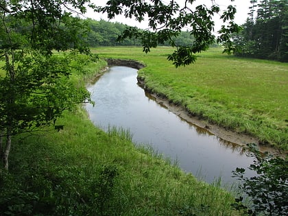 rachel carson national wildlife refuge