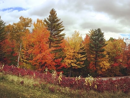 hubbard brook experimental forest