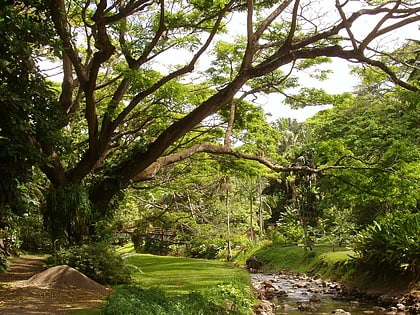 McBryde Garden