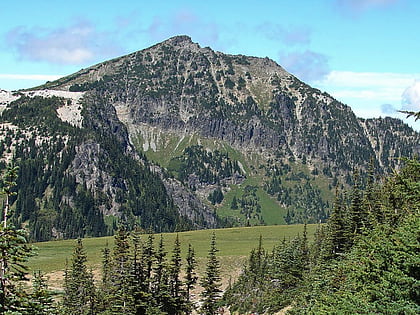skyscraper mountain mount rainier national park