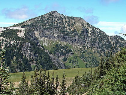 skyscraper mountain parque nacional del monte rainier