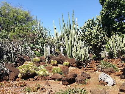 kapiolani community college cactus garden honolulu
