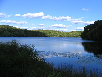 park stanowy ringwood