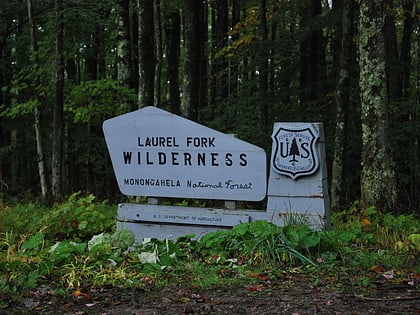 Laurel Fork North Wilderness