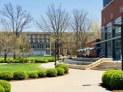 morris library carbondale