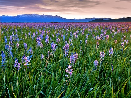 camas prairie centennial marsh wildlife management area