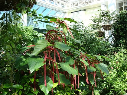 Key West Butterfly and Nature Conservatory