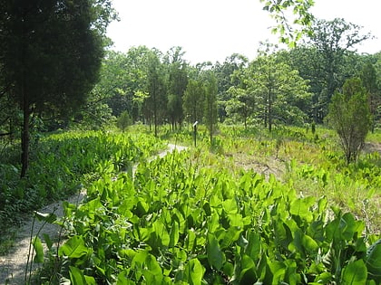 Park Stanowy Adams Lake