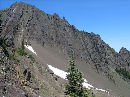 mount angeles olympic national park