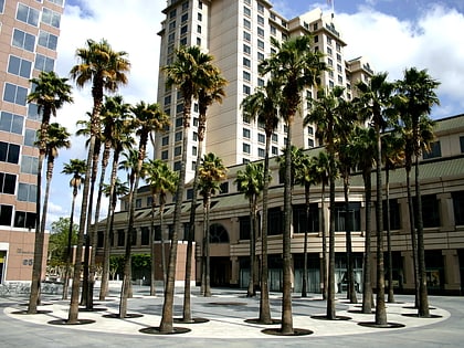 circle of palms plaza san jose