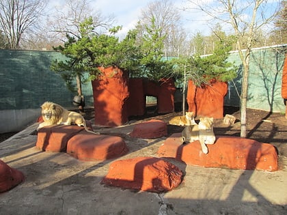Capron Park Zoo