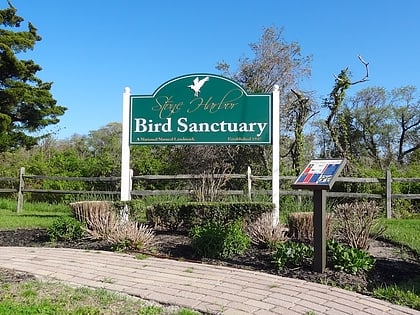 stone harbor bird sanctuary
