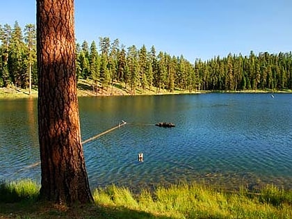 magone lake foret nationale de malheur