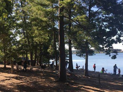 lake julian park asheville