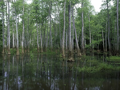 bond swamp national wildlife refuge