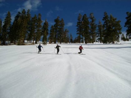 Tahoe Nordic Search & Rescue Team Inc