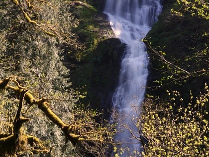 munson creek falls state natural site tillamook
