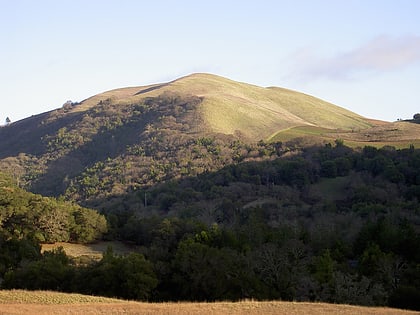 bald mountain santa rosa