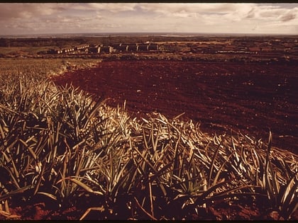 mililani town oahu