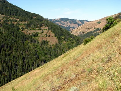 north fork umatilla wilderness