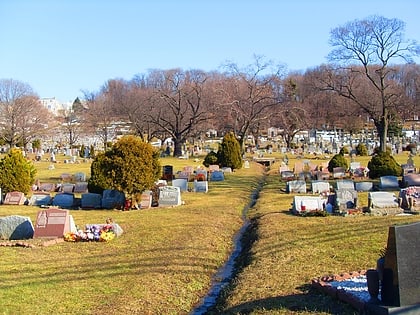 weehawken cemetery union city
