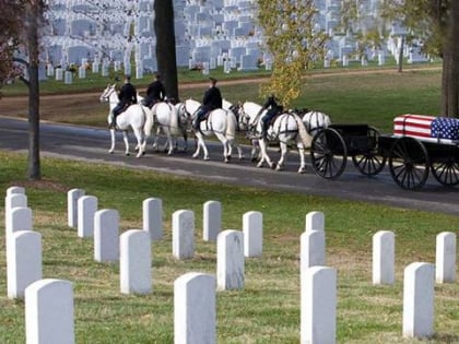 veterans memorial museum branson