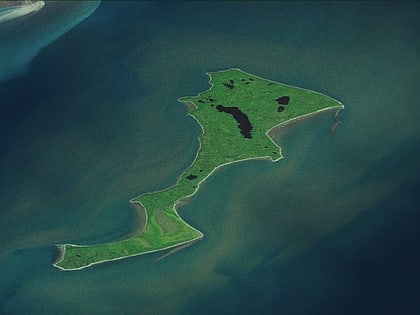 Kalgin Island