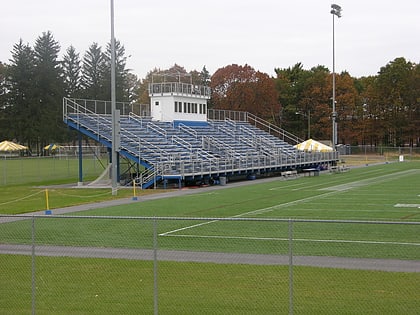 golden bear stadium springfield