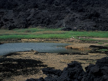 ʻĀhihi-Kīnaʻu Natural Area Reserve