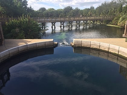 wall springs park palm harbor