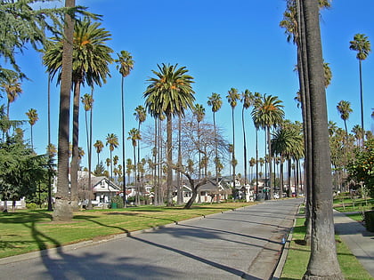 Palm Haven