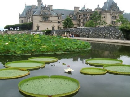 the biltmore estate asheville