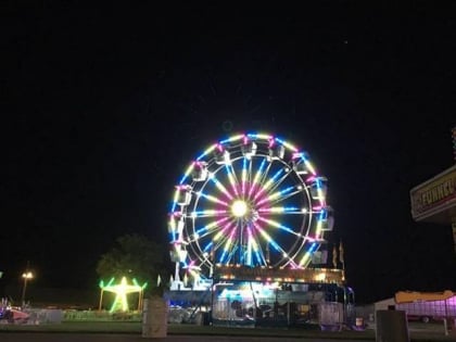 shelby county fair sidney