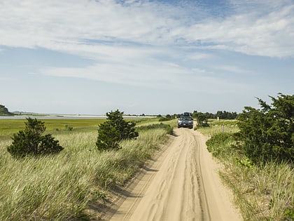 chappaquiddick island