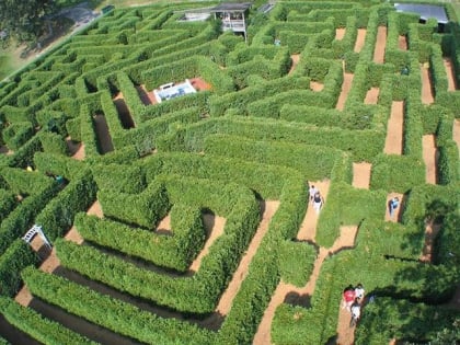 the garden maze luray