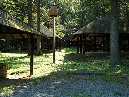 big spring state forest picnic area