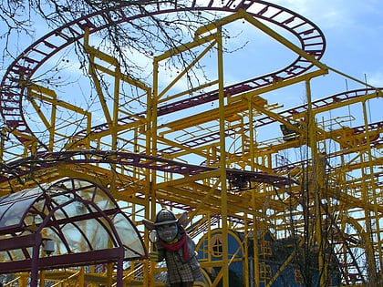 wild mouse farmington