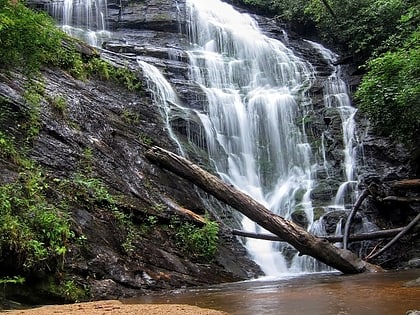 kings creek falls bosque nacional sumter