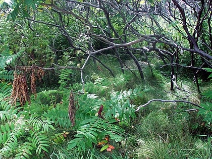 Odiorne Point State Park